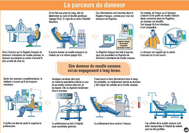 Donneur de moelle osseuse
