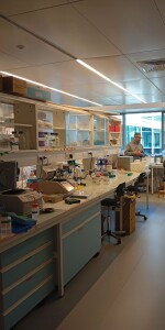 1825f8a8-0f5c-4039-8f58-fc77ae63768d